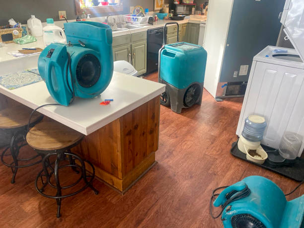 Best 24/7 water damage repair  in Boron, CA