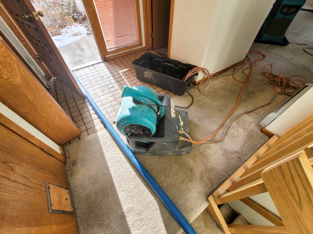 Local water damage restoration in CA