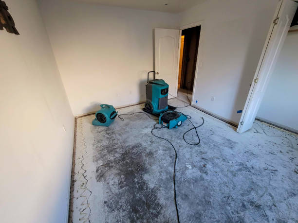 Best Water damage contractors near me  in Boron, CA