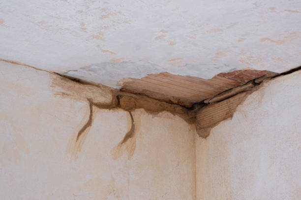 Best Flooded house restoration  in Boron, CA