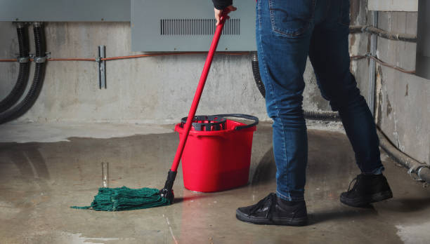 Best Local water damage restoration  in Boron, CA
