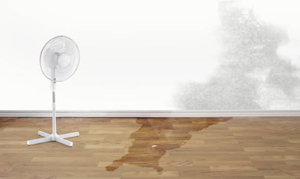 Best Commercial water damage restoration  in Boron, CA
