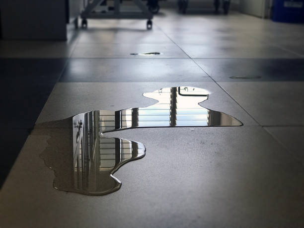 Best 24/7 water damage repair  in Boron, CA