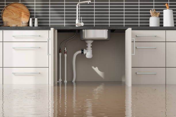 Best Flood damage cleanup  in Boron, CA